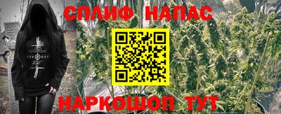 бошки Донской